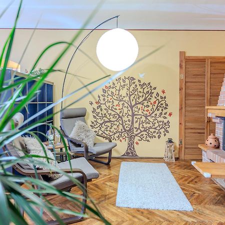 Tree House-Old Town Brasov Apartment Bagian luar foto