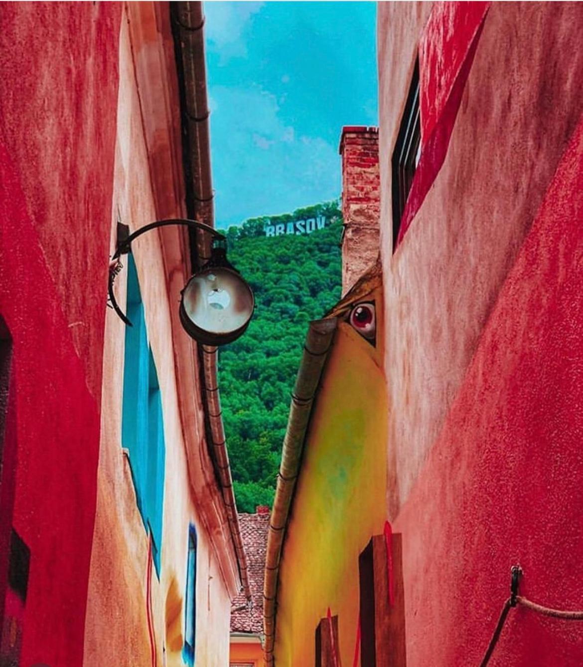 Tree House-Old Town Brasov Apartment Bagian luar foto